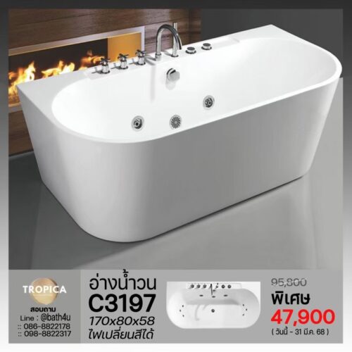 C3197